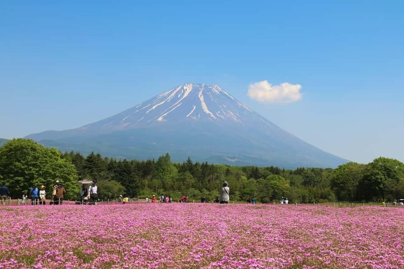 1-Day Mt Fuji and Hakone Sightseeing trip from Tokyo - Comfort and car reality: luxury ride, but fit matters
