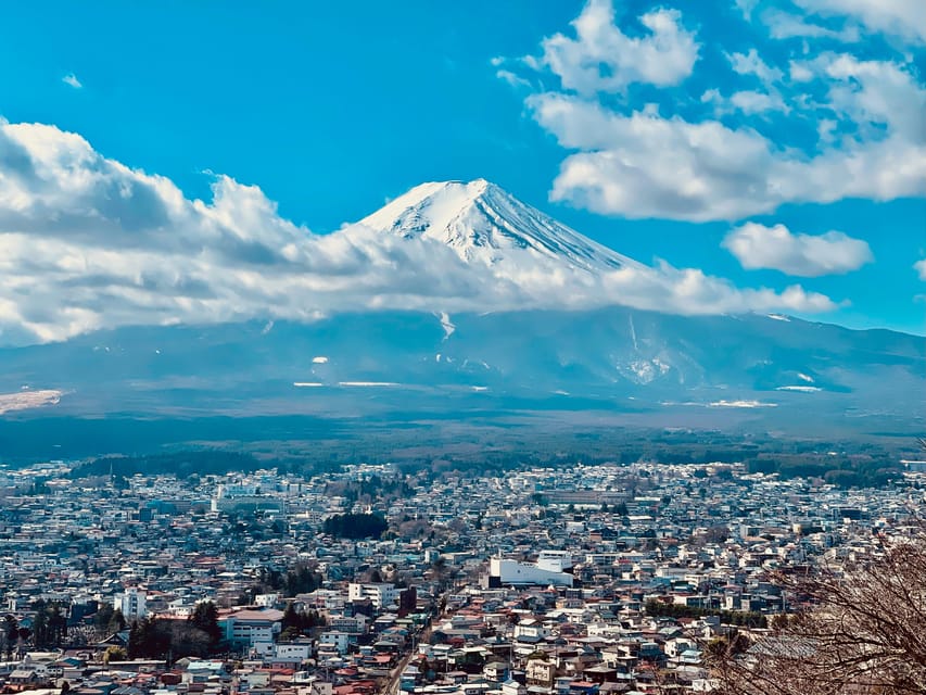 1-Day Mt Fuji and Hakone Sightseeing trip from Tokyo - Hakone Shrine: closing the loop on the culture side