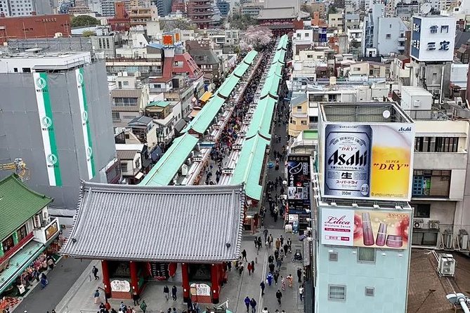 1 Day Private Charter Tokyo Tour (Green Number Plates) - Imperial Palace area: quick views, calm walking, no big ticket
