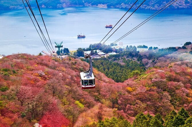 1 Day Private Tour to Hakone-Gotemba With English Speaking Driver - Gotemba Premium Outlets: shopping with Fuji views built in