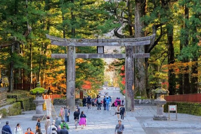 1- Day Private Tour to Nikko Tochigi With English Speaking Driver - Kegon Falls: the 97-meter drop and the lift experience