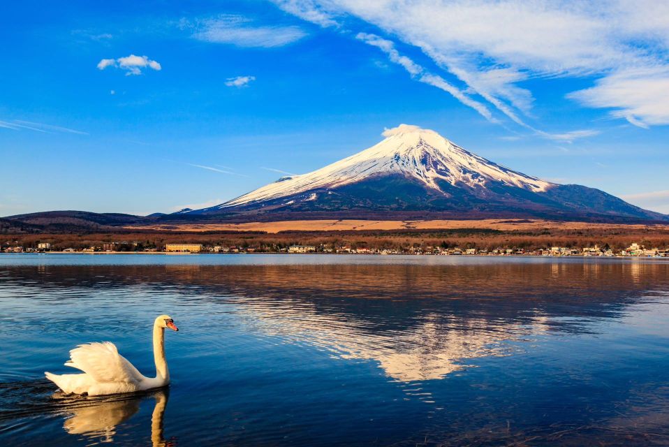 1-Day trip: Mt Fuji + Kawaguchi Lake area - Quick Takeaways Before You Go
