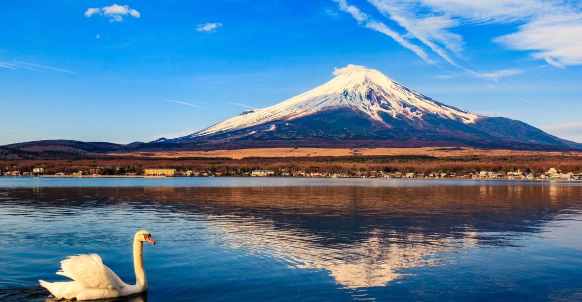 1-Day trip: Mt Fuji + Kawaguchi Lake area - Oishi Park and Chureito Pagoda: Two Ways to See Mt Fuji Up Close
