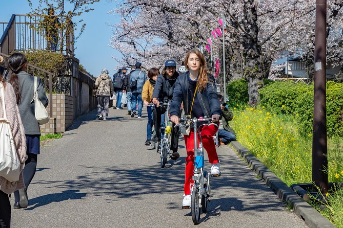 2.5 Hour-Guided Cycle Tour in the Central Tokyo - Meet-Up and Getting Set Up at the Start