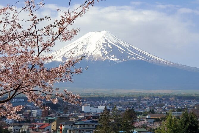 2 Days Tokyo ,Mount Fuji / Hakone Private Tour from Tokyo - Key Highlights Worth Your Time