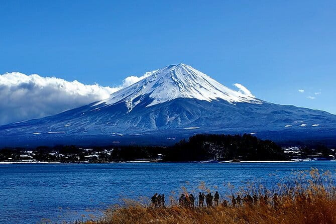 2 Days Tokyo ,Mount Fuji / Hakone Private Tour from Tokyo - How the Private Setup Changes Your Tokyo-to-Hakone Timing