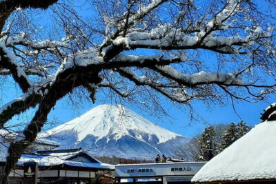 2 Days Tokyo ,Mount Fuji / Hakone Private Tour from Tokyo - Entering Imperial Palace East Gardens: calm before the crowds