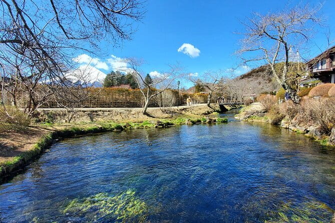 2 Days Tokyo ,Mount Fuji / Hakone Private Tour from Tokyo - Kitaguchi Hongu Fuji Sengen Jinja: a Mount Fuji shrine in the forest