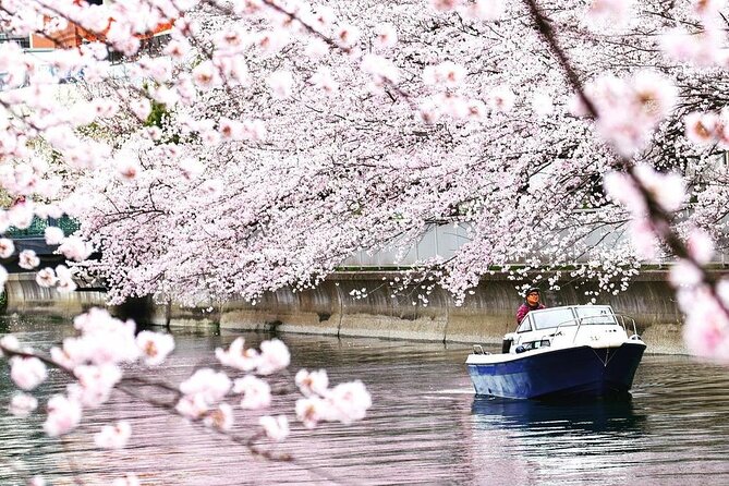 2 Hours Private Cruising Boat Tour;Tokyo Bay & River - Tennozu Isle and Terada Warehouse: art energy near Haneda