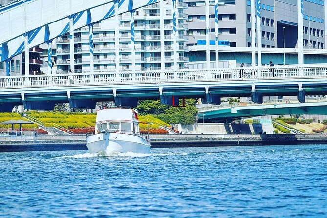 2 Hours Private Cruising Boat Tour;Tokyo Bay & River - When to go: sunset and night views without the city scramble