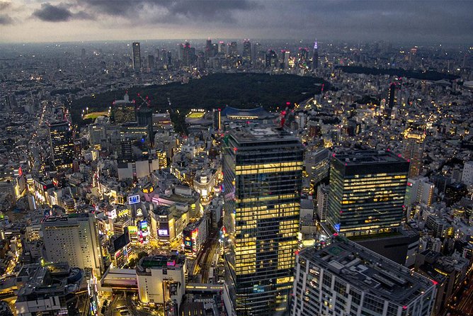 25-Min Downtown Helicopter Tour : Tokyo Skytree and Tokyo Tower - What you actually get in the air: views without the walking tax