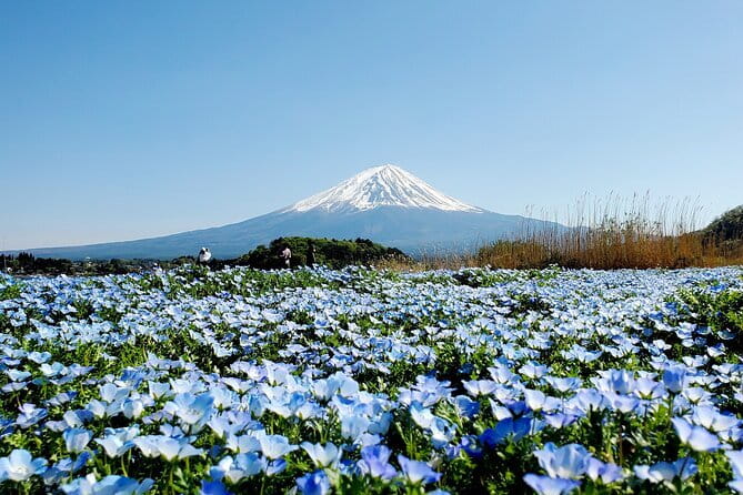 3 Days Tokyo, Mt. Fuji and Hakone Private Tour from Tokyo - Key highlights at a glance