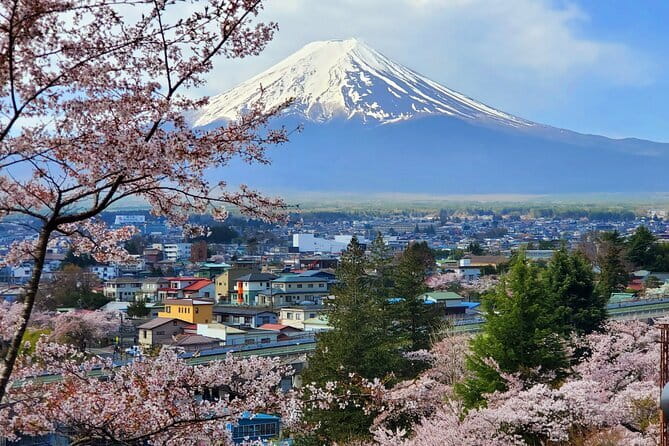 3 Days Tokyo, Mt. Fuji and Hakone Private Tour from Tokyo - Price and value: what $1,265 per group really buys you