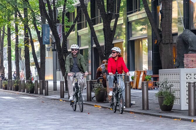 3-Hour Tokyo Private E-Bike Tour Starting from Your Hotel - Key points that make this Tokyo e-bike tour worth your time