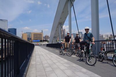 3-Hour Tokyo Private E-Bike Tour Starting from Your Hotel - How the route stays flexible without losing major sights