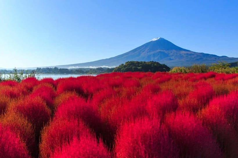 3-Row Luxury Bus Tour to Mt. Fuji, Lake Kawaguchi from Tokyo - Lake Kawaguchi Craft Park: lunch, shopping, and easy Fuji views