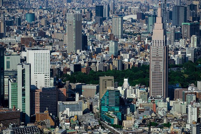 30-Min Tokyo Central Private Heli Tour– Asakusa, Skytree, Shibuya - Boarding, security rules, and your photo plan