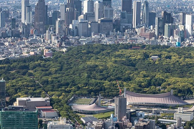 30-Min Tokyo Central Private Heli Tour– Asakusa, Skytree, Shibuya - Comfort and constraints: the weight rules you can’t ignore