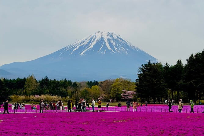 5-Hour Tokyo Private Layover Tour from Haneda Airport - The route: Senso-ji, Skytree area, Ueno, Shibuya, Tokyo Tower, Odaiba