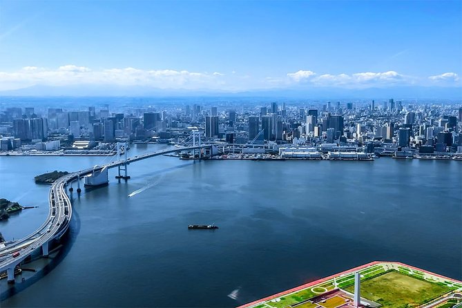 75-Min Mt. Fuji Half Day Private Helicopter Tour - Weather Reality Checks and the Mt. Fuji Non-Guarantee