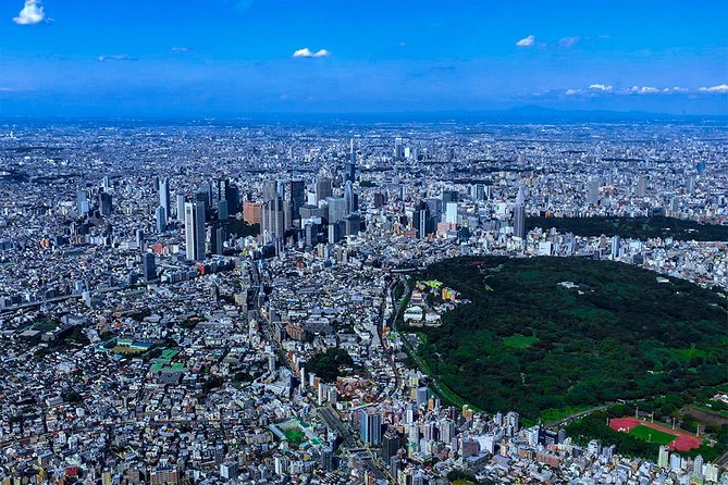 75-Min Mt. Fuji Half Day Private Helicopter Tour - Practical Constraints: Weight, Diving Rules, and Comfort