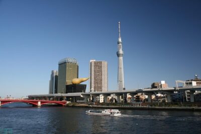 8-hour Tokyo tour by qualified tour guide using public transport - Meiji Jingu to Takeshita Street: faith and fashion in one sweep