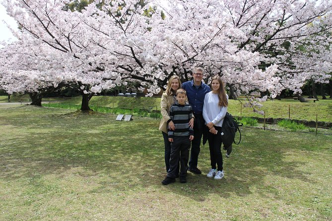 8-hour Tokyo tour by qualified tour guide using public transport - Tsukiji Jogai Market and the Imperial Palace gardens walk