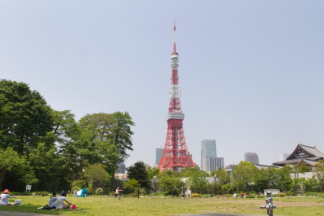 8-hour Tokyo tour by qualified tour guide using public transport - What the licensed guide adds (including subway tips)