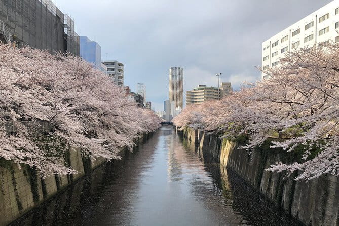 A Dreamy and Delicious Day in Tokyo - Key Points You’ll Actually Care About