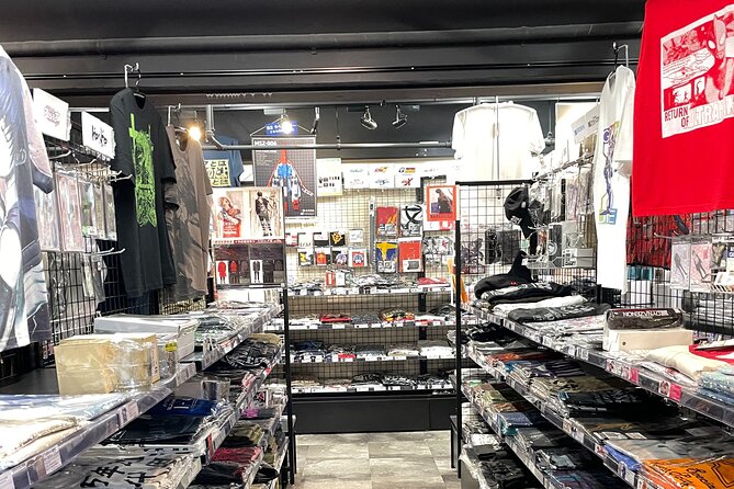 Akihabara Otaku Group Tour - Price and value: is $105.10 worth it here?