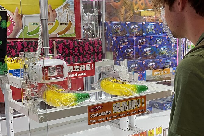 Akihabara Otaku Group Tour - Who this tour suits best (and who might not need it)