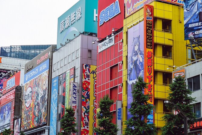 Akihabara Tour with Vintage Gaming Anime and Gachapon Experience - Akiba Hobby Akihabara: anime and model fans get room to breathe and browse