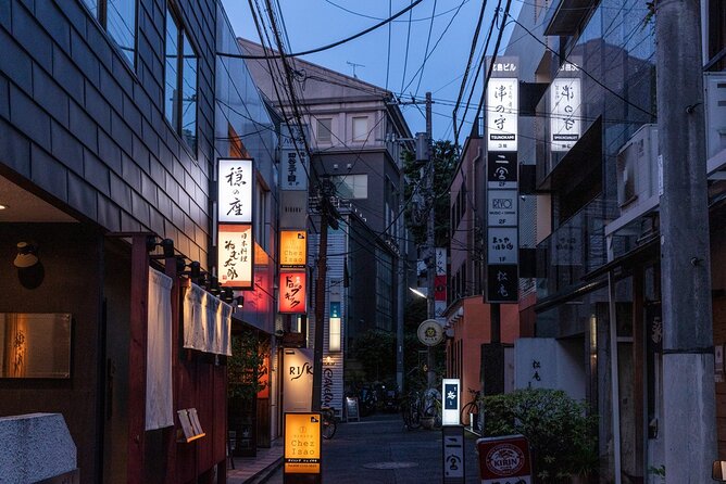 An Enchanted Evening with Geisha – A Rare Experience in Tokyo - Price and value: what $133 covers (and why it can be fair)