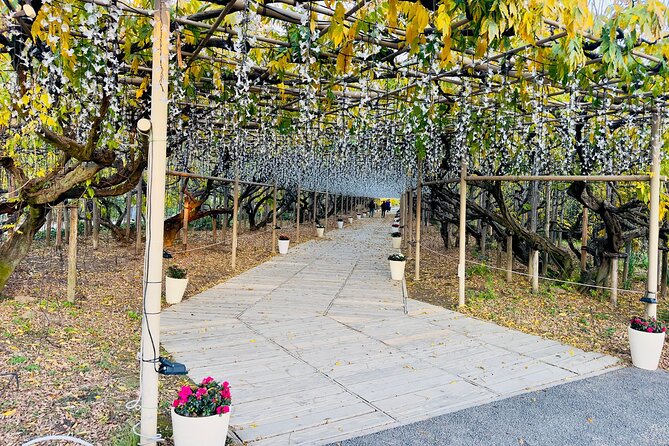 Ashikaga Flowers Park Pvt. One Day Tour with Pickup - Price and value for a group of up to 5