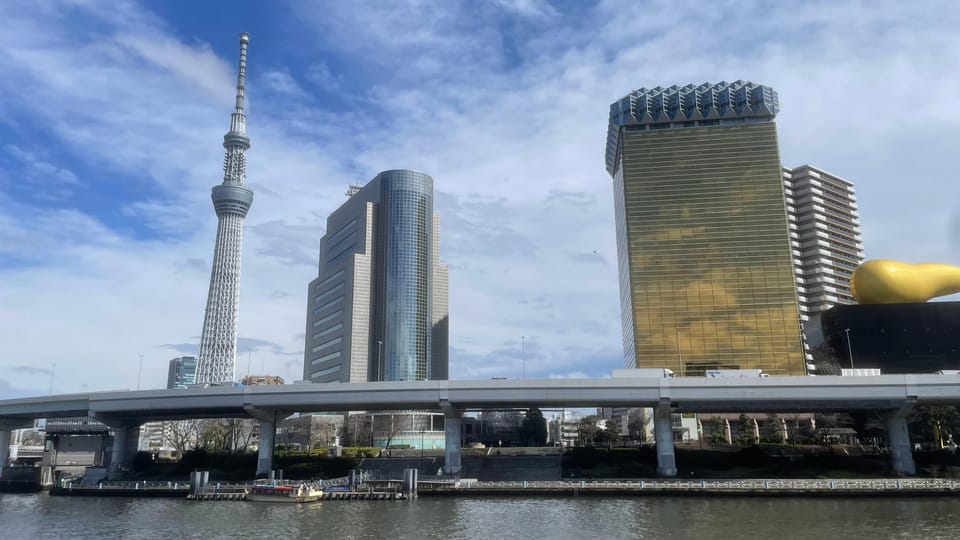 Awesome Private Tour: Tsukiji, Asakusa, Shinjuku, Shibuya - Key highlights worth planning around
