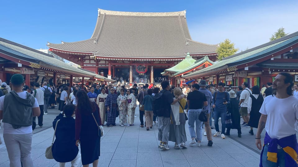Awesome Private Tour: Tsukiji, Asakusa, Shinjuku, Shibuya - Akihabara and Ueno: two different Tokyo moods in one afternoon