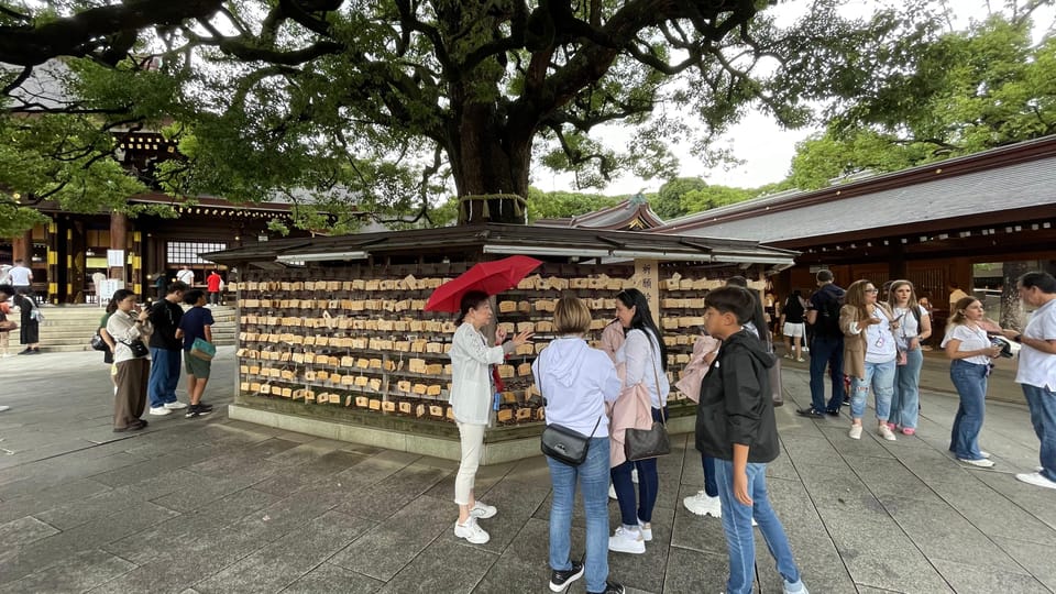 Awesome Private Tour: Tsukiji, Asakusa, Shinjuku, Shibuya - Shibuya Crossing, then Omoide Yokocho, Kabukicho, and Golden Gai