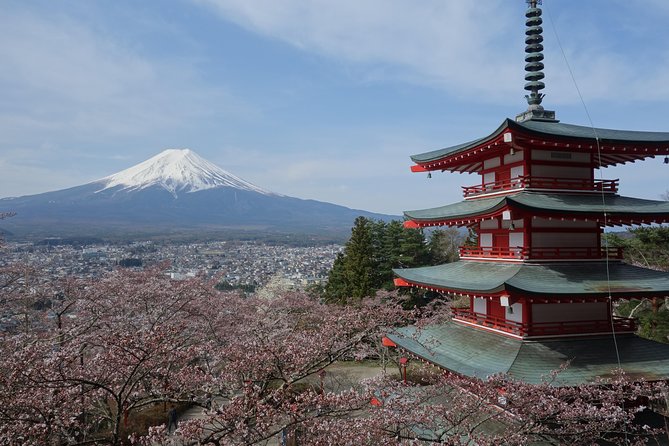 Barrier-Free Private Mt. Fuji Tour for Wheelchair Users - A wheelchair-friendly Fuji day from Tokyo Station