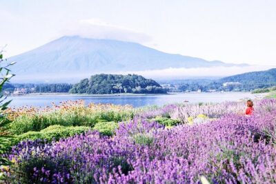 Barrier-Free Private Mt. Fuji Tour for Wheelchair Users - Oishi Park flowers and a kimono-art museum visit
