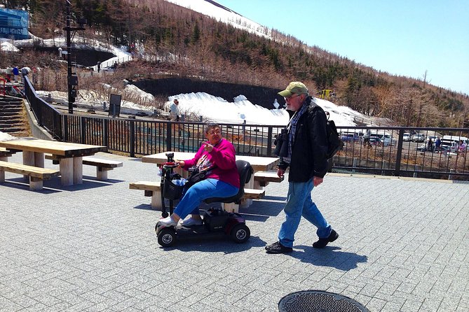Barrier-Free Private Mt. Fuji Tour for Wheelchair Users - The weather reality: planning for clouds without losing the day