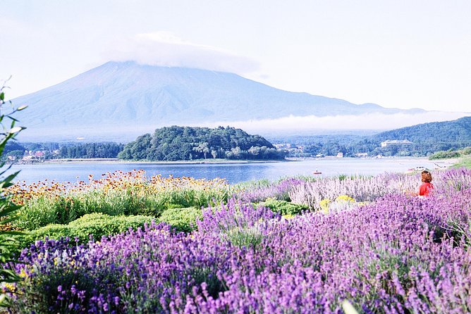 Barrier-Free Private Mt. Fuji Tour for Wheelchair Users - Oishi Park flowers and a kimono-art museum visit