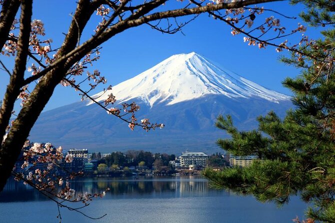 Best Mt Fuji and Hakone Full-Day Bus Tour from Tokyo - Key highlights worth knowing