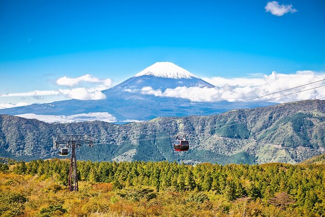 Best Mt Fuji and Hakone Full-Day Bus Tour from Tokyo - Mt. Fuji and Hakone in a single, shared 9-hour rush