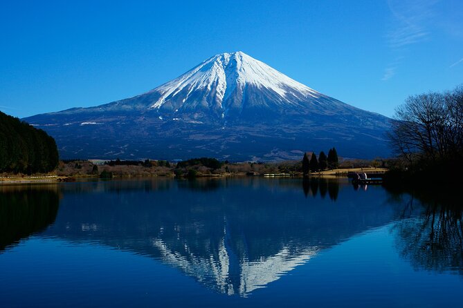 Best Mt Fuji and Hakone Full-Day Bus Tour from Tokyo - Mt. Fuji 5th Station: the elevation moment, with weather reality