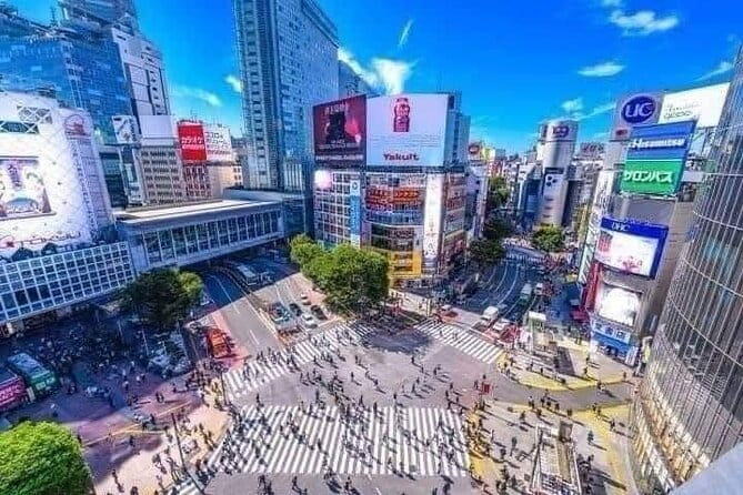 Best of Tokyo Private Tour English Driver &Customizable Itinerary - Key Things I’d Pay Attention To