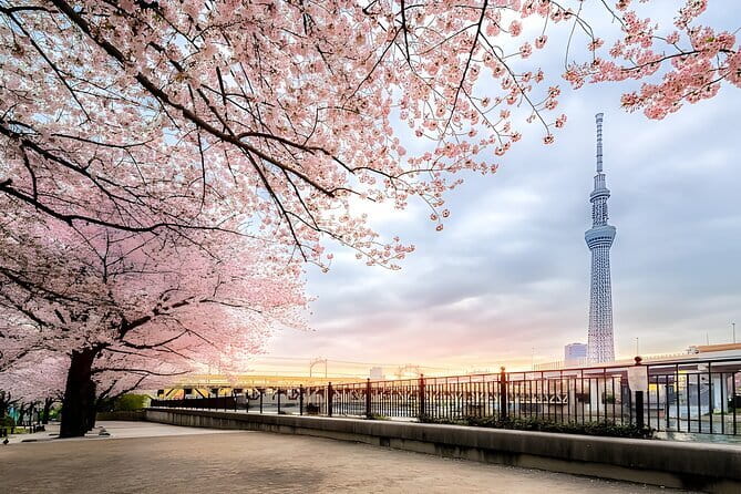 Best of Tokyo Private Tour English Driver &Customizable Itinerary - How the 10-Hour Schedule Fits Together (Without Feeling Rushed)