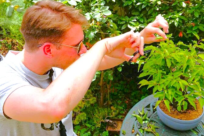 Bonsai Tour & Experience at the Most Sacred City for Bonsai in JP - Key points before you go