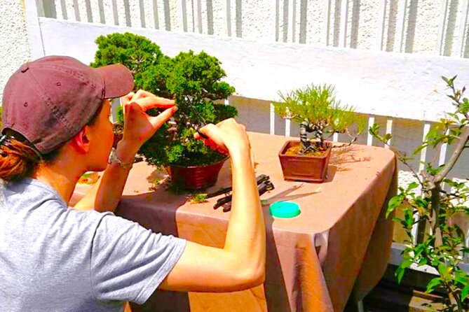Bonsai Tour & Experience at the Most Sacred City for Bonsai in JP - Bonsai-cho: the Saitama “Bonsai City” that makes bonsai feel real