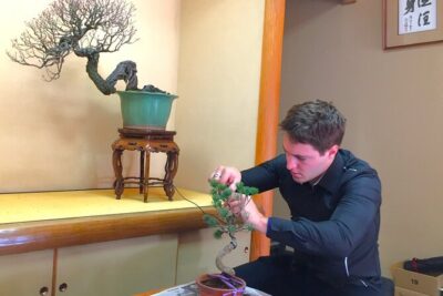 Bonsai Tour & Experience at the Most Sacred City for Bonsai in JP - From Toro Station to the first garden stop: seeing bonsai like a craft, not a collection