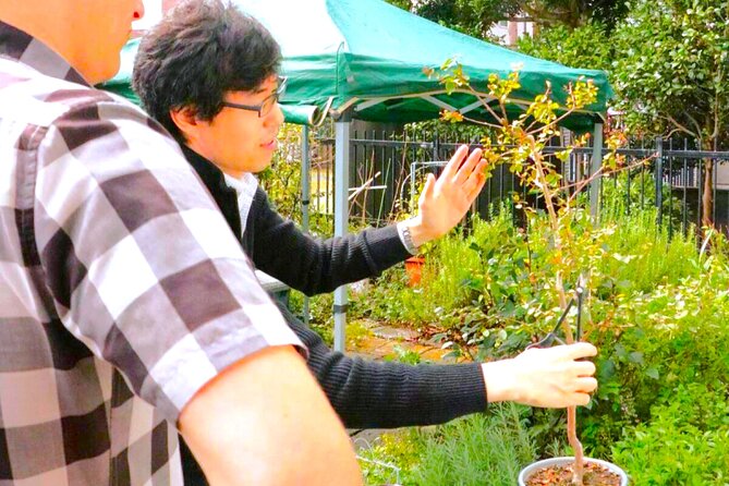Bonsai Tour & Experience at the Most Sacred City for Bonsai in JP - Timing, tickets, and how to make the most of the 2.5 hours